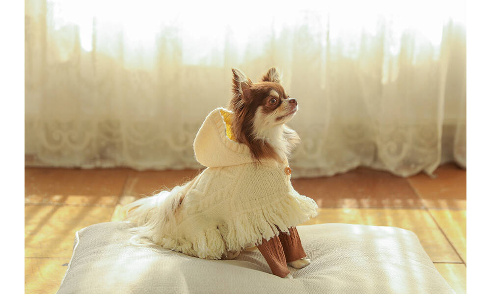 オンラインストア | ba&ttang Japan